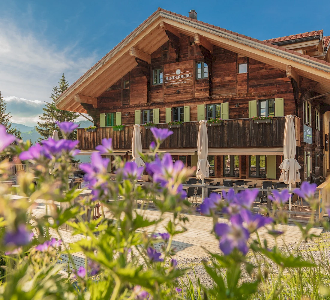 Rinderberg Swiss Alpine Lodge