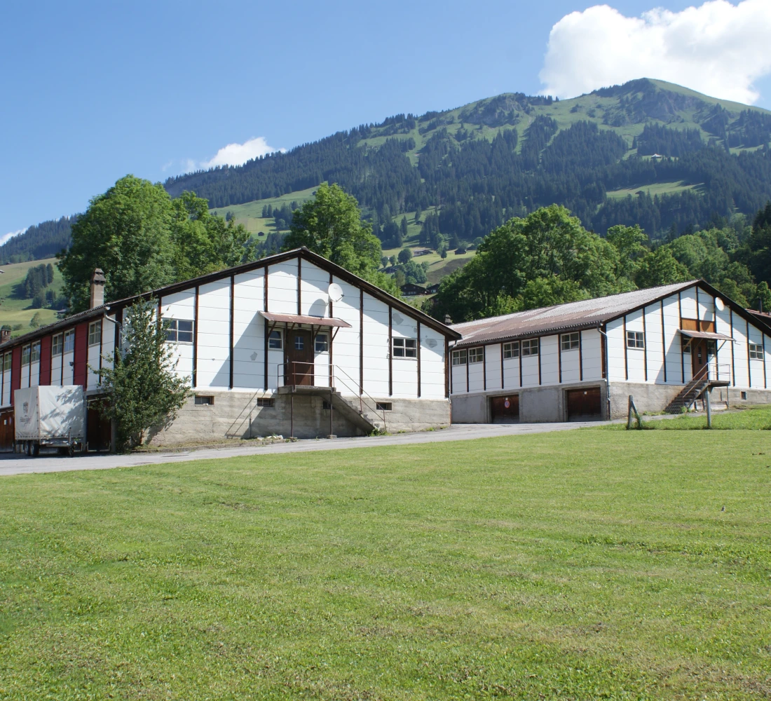 Mountain Lodge Aussenansicht Sommer