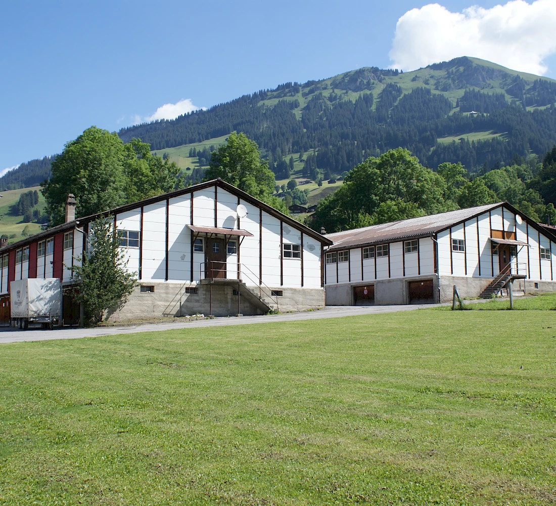 Mountain Lodge Aussenansicht Sommer