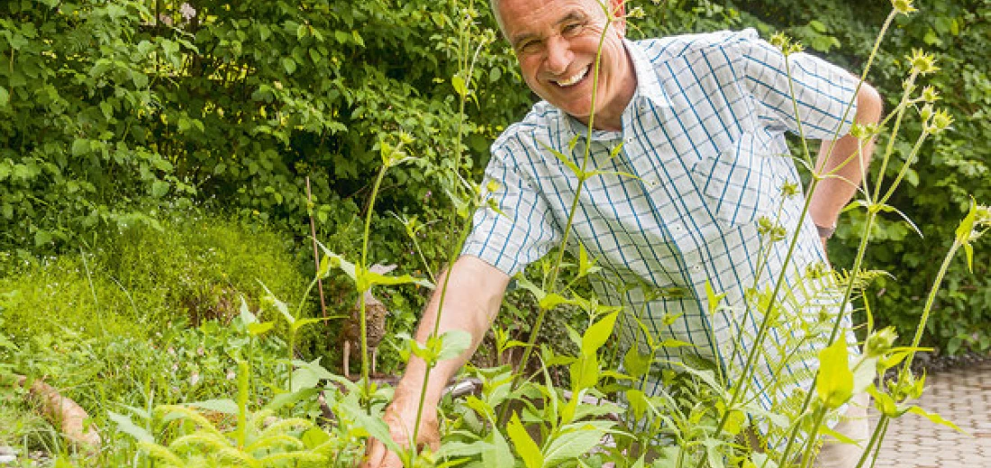 copyright: hanspeter-latour.ch