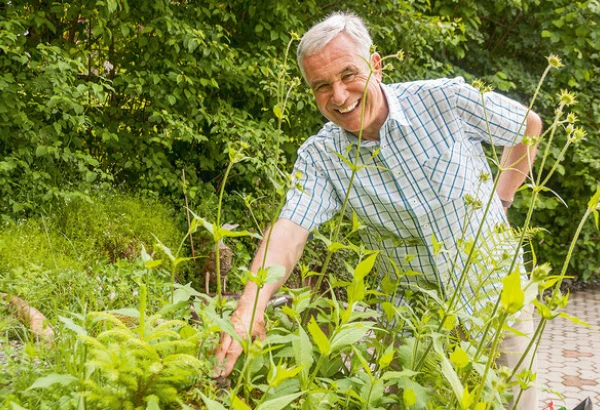 copyright: hanspeter-latour.ch